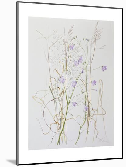 Harebells in Grass, 2003-Rebecca John-Mounted Giclee Print