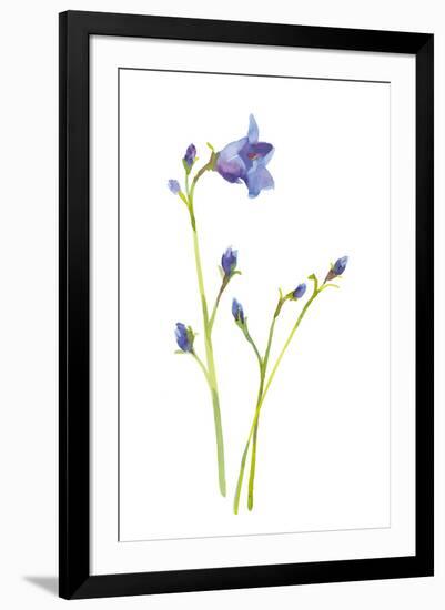 Harebells IV-Sandra Jacobs-Framed Giclee Print