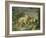 Hares and Leverets in a Rocky Lair-Johann Wenzel Peter-Framed Giclee Print