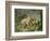 Hares and Leverets in a Rocky Lair-Johann Wenzel Peter-Framed Giclee Print