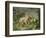 Hares and Leverets in a Rocky Lair-Johann Wenzel Peter-Framed Giclee Print