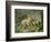 Hares and Leverets in a Rocky Lair-Johann Wenzel Peter-Framed Giclee Print