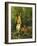 Hares-Olaf August Hermansen-Framed Giclee Print