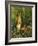 Hares-Olaf August Hermansen-Framed Giclee Print