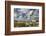 Harestail Cotton-Grass (Eriophorum Vaginatum) Growing on Bog Moorland, Scotland, UK, May-Mark Hamblin-Framed Photographic Print