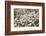 Harestail Cottongrass in Flower, Flow Country, Caithness, Highland, Scotland, UK, May-Peter Cairns-Framed Photographic Print