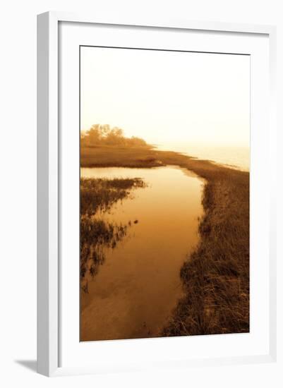 Harker's Island Marsh II-Alan Hausenflock-Framed Photographic Print