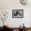 Harlem Newsboy-Gordon Parks-Framed Premium Giclee Print displayed on a wall