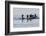 Harlequin Ducks-Ken Archer-Framed Photographic Print