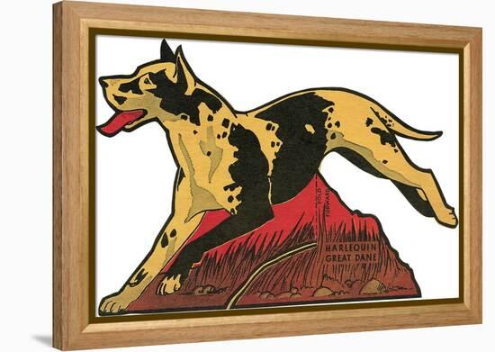 Harlequin Great Dane-null-Framed Stretched Canvas