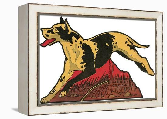 Harlequin Great Dane-null-Framed Stretched Canvas