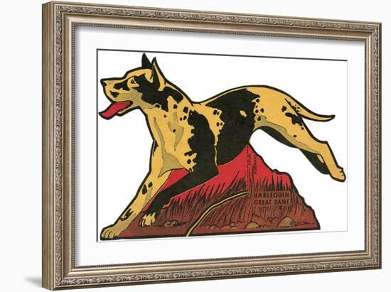 Harlequin Great Dane-null-Framed Art Print