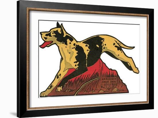 Harlequin Great Dane-null-Framed Art Print