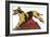 Harlequin Great Dane-null-Framed Art Print