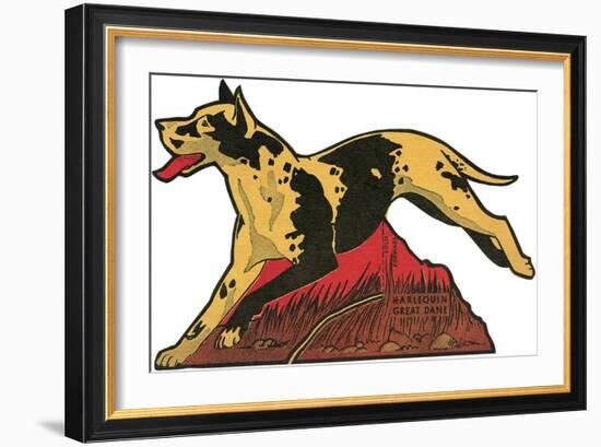 Harlequin Great Dane-null-Framed Art Print