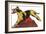 Harlequin Great Dane-null-Framed Art Print