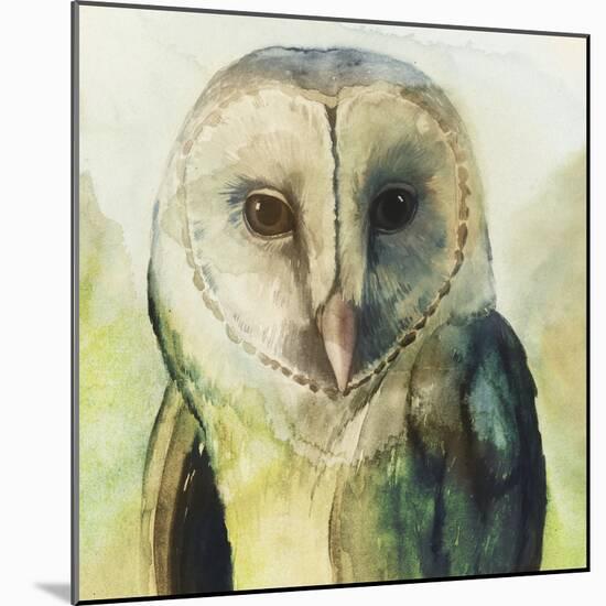 Harlequin Hibou I-Grace Popp-Mounted Art Print