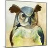 Harlequin Hibou II-Grace Popp-Mounted Art Print