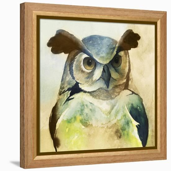 Harlequin Hibou II-Grace Popp-Framed Stretched Canvas