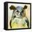 Harlequin Hibou II-Grace Popp-Framed Stretched Canvas