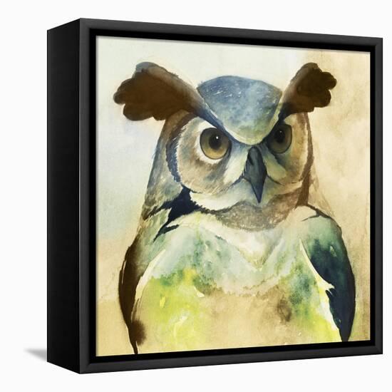 Harlequin Hibou II-Grace Popp-Framed Stretched Canvas