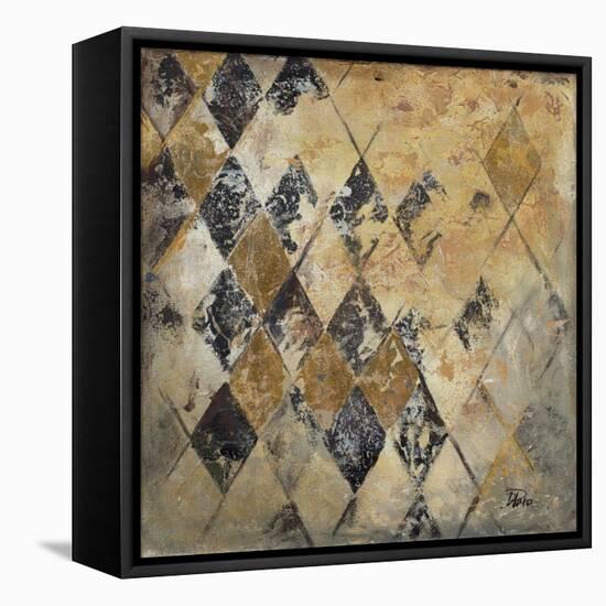 Harlequin II-Patrcia Pinto-Framed Stretched Canvas