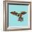 Harlequin Parrot-Sharon Turner-Framed Art Print