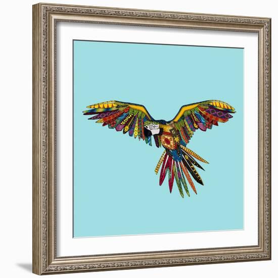 Harlequin Parrot-Sharon Turner-Framed Art Print