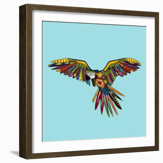 Harlequin Parrot-Sharon Turner-Framed Art Print