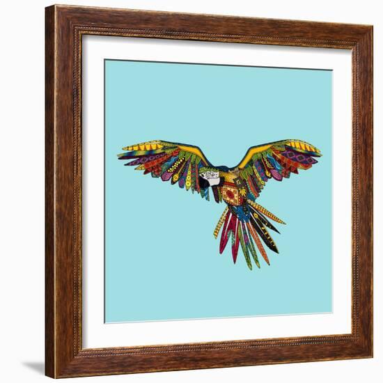 Harlequin Parrot-Sharon Turner-Framed Art Print