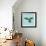 Harlequin Parrot-Sharon Turner-Framed Art Print displayed on a wall