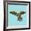 Harlequin Parrot-Sharon Turner-Framed Art Print