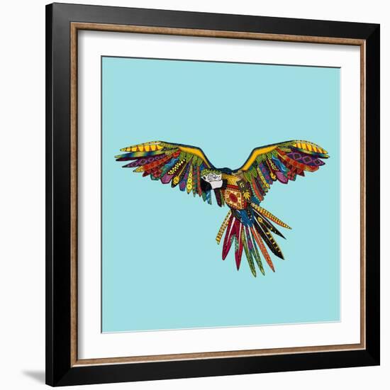 Harlequin Parrot-Sharon Turner-Framed Art Print