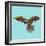 Harlequin Parrot-Sharon Turner-Framed Art Print