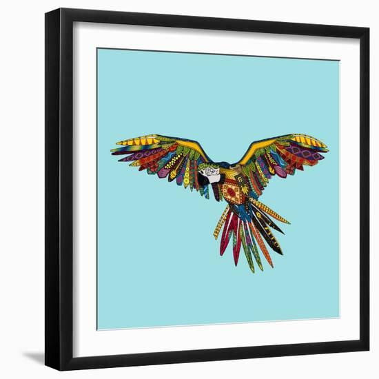 Harlequin Parrot-Sharon Turner-Framed Art Print