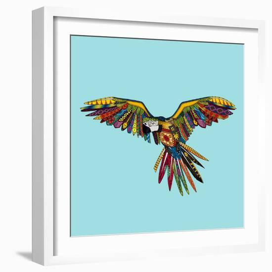 Harlequin Parrot-Sharon Turner-Framed Art Print