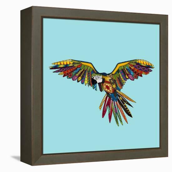 Harlequin Parrot-Sharon Turner-Framed Stretched Canvas