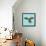 Harlequin Parrot-Sharon Turner-Framed Stretched Canvas displayed on a wall