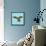 Harlequin Parrot-Sharon Turner-Framed Stretched Canvas displayed on a wall