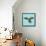 Harlequin Parrot-Sharon Turner-Framed Stretched Canvas displayed on a wall