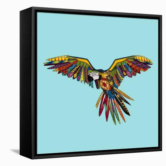 Harlequin Parrot-Sharon Turner-Framed Stretched Canvas