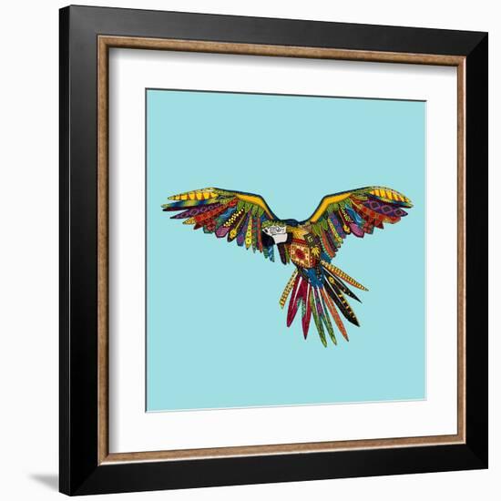 Harlequin Parrot-Sharon Turner-Framed Art Print