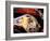 Harley Davidson Heritage Softail Made 1991 from a 1936 Style-null-Framed Photographic Print