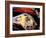 Harley Davidson Heritage Softail Made 1991 from a 1936 Style-null-Framed Photographic Print