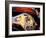 Harley Davidson Heritage Softail Made 1991 from a 1936 Style-null-Framed Photographic Print