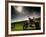 Harley Davidson Motorbike Sitting in Field, June 1998-null-Framed Photographic Print