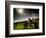 Harley Davidson Motorbike Sitting in Field, June 1998-null-Framed Photographic Print