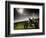 Harley Davidson Motorbike Sitting in Field, June 1998-null-Framed Photographic Print