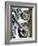 Harley Davidson Motorcycles-null-Framed Photographic Print