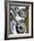 Harley Davidson Motorcycles-null-Framed Photographic Print